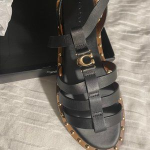 Coach Giselle Gladiator Sandals NEW**